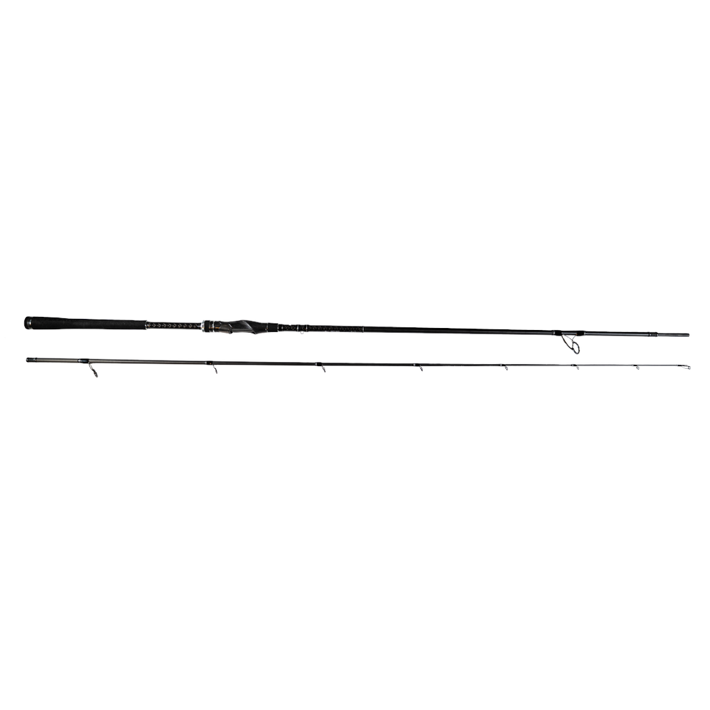 CANNE Predator IV 2,67M 10-42G